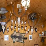Salzburg Lungau Nature Apartment Muhr