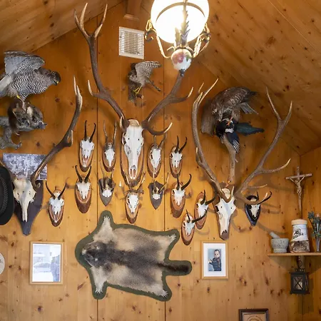 Salzburg Lungau Nature Muhr